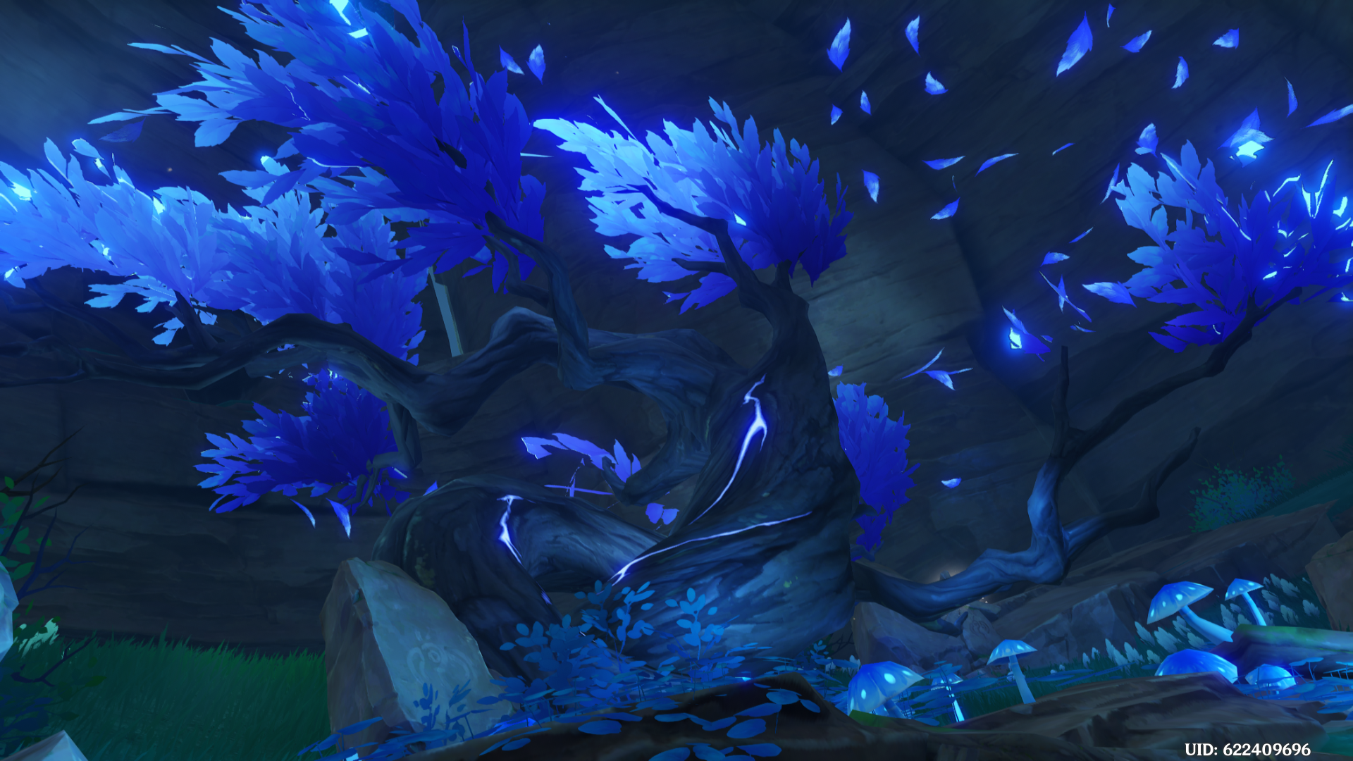 Genshin Impact a Particularly Particular Author, Find your